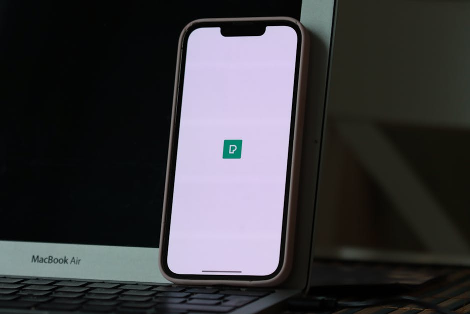 Курсы программирования и UI/UX дизайна